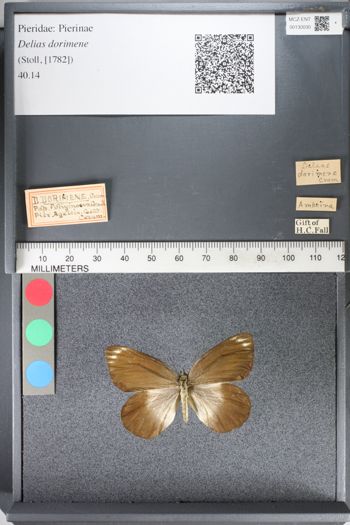Media type: image;   Entomology 130030